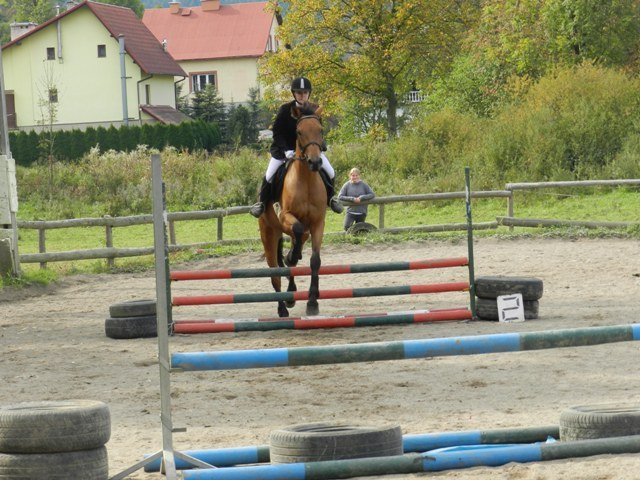 Babie Lato 2016
